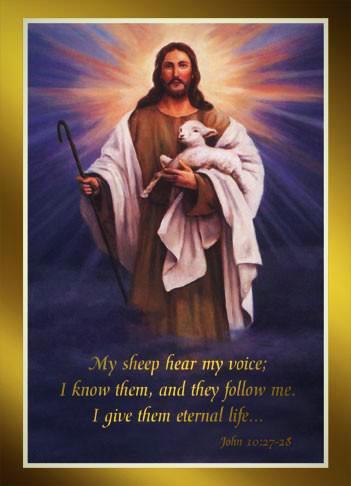 Mass Cards: Eternal Life